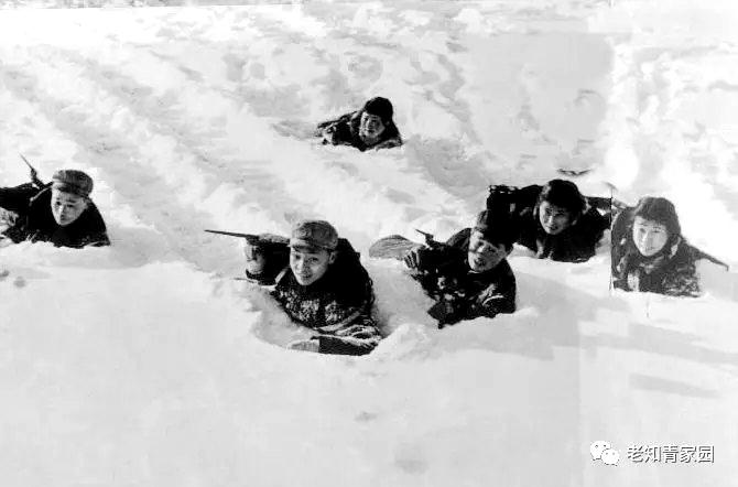 我的苦乐人生——下乡九年的蹉跎岁月