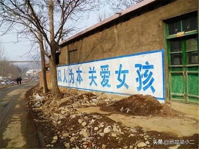 女博士拒绝弟弟购房,山东女博士被父亲砍死真实事件