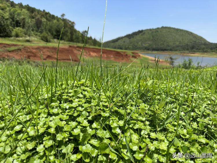 走进昆明安宁，爬癞乌包山、走车木河水库，收获了简单纯粹的快乐