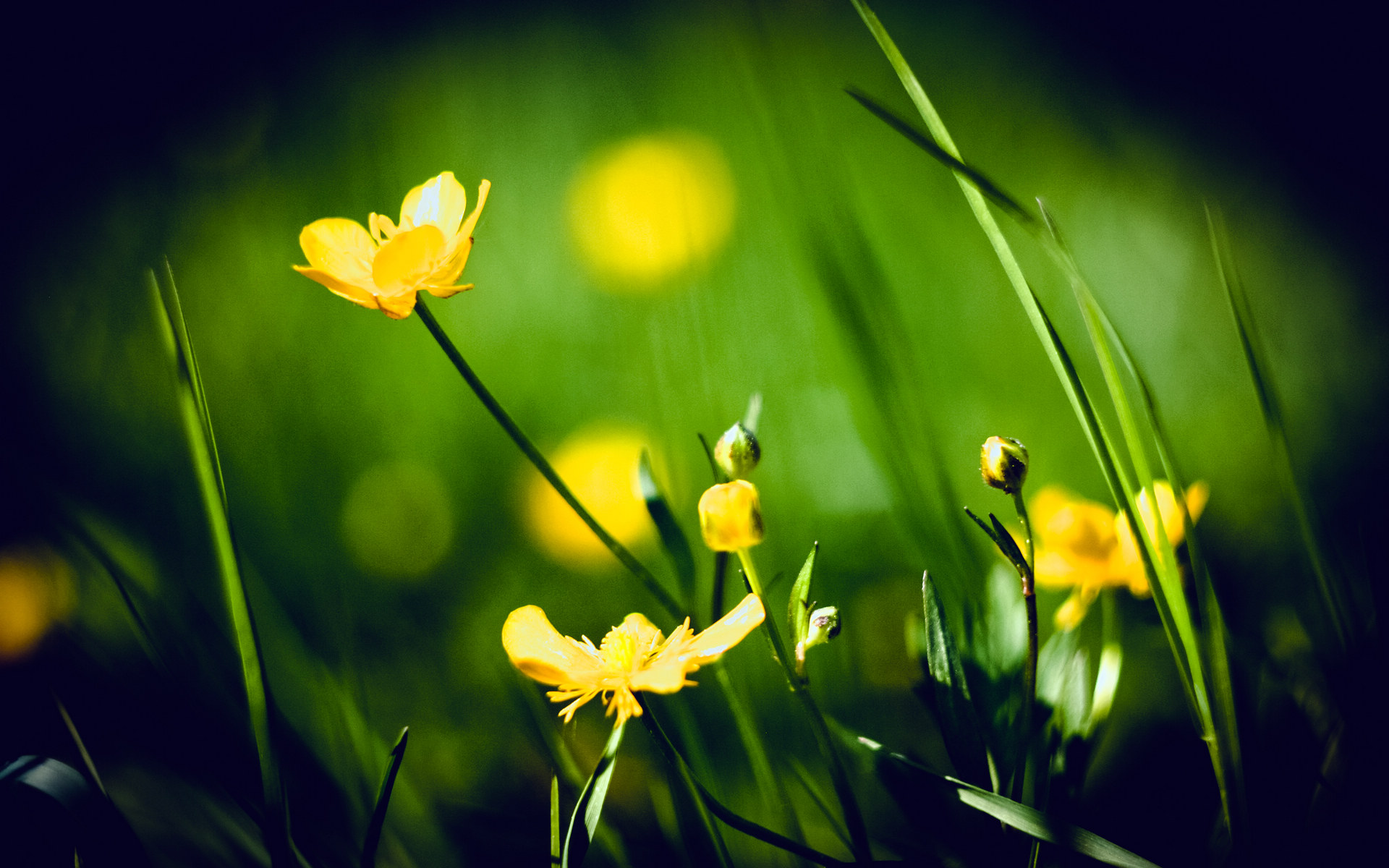 抖音小红书探店作用,抖音小红书怎么运营店铺