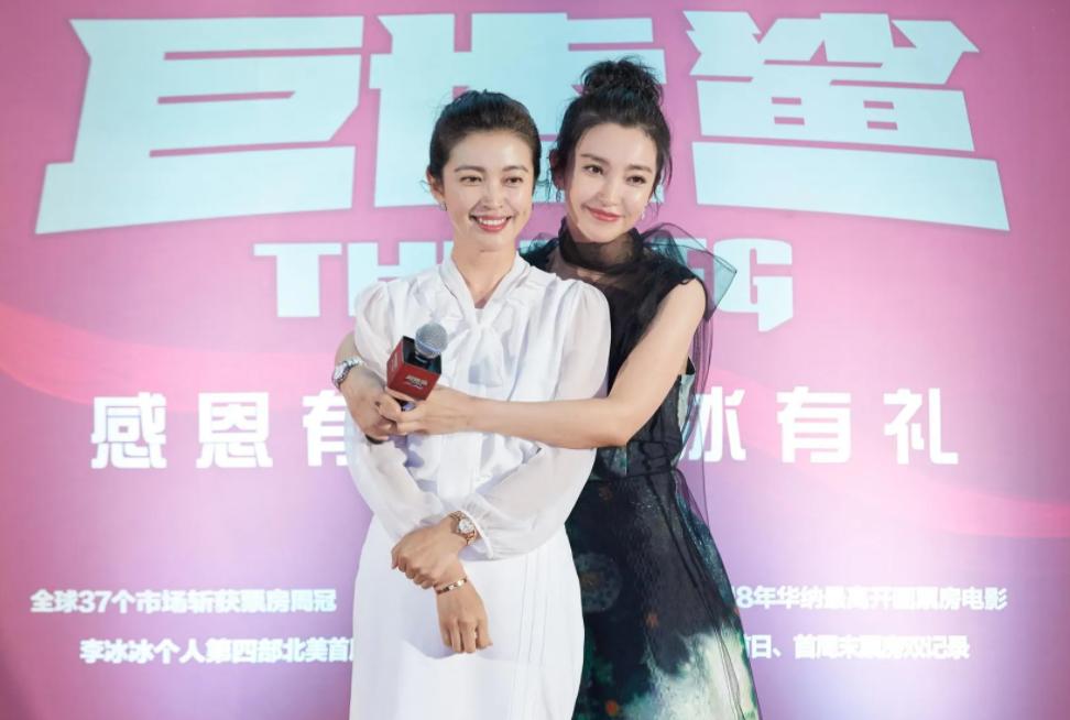 李冰冰姐妹花在娱乐圈打拼靠什么,李冰冰有多少财富