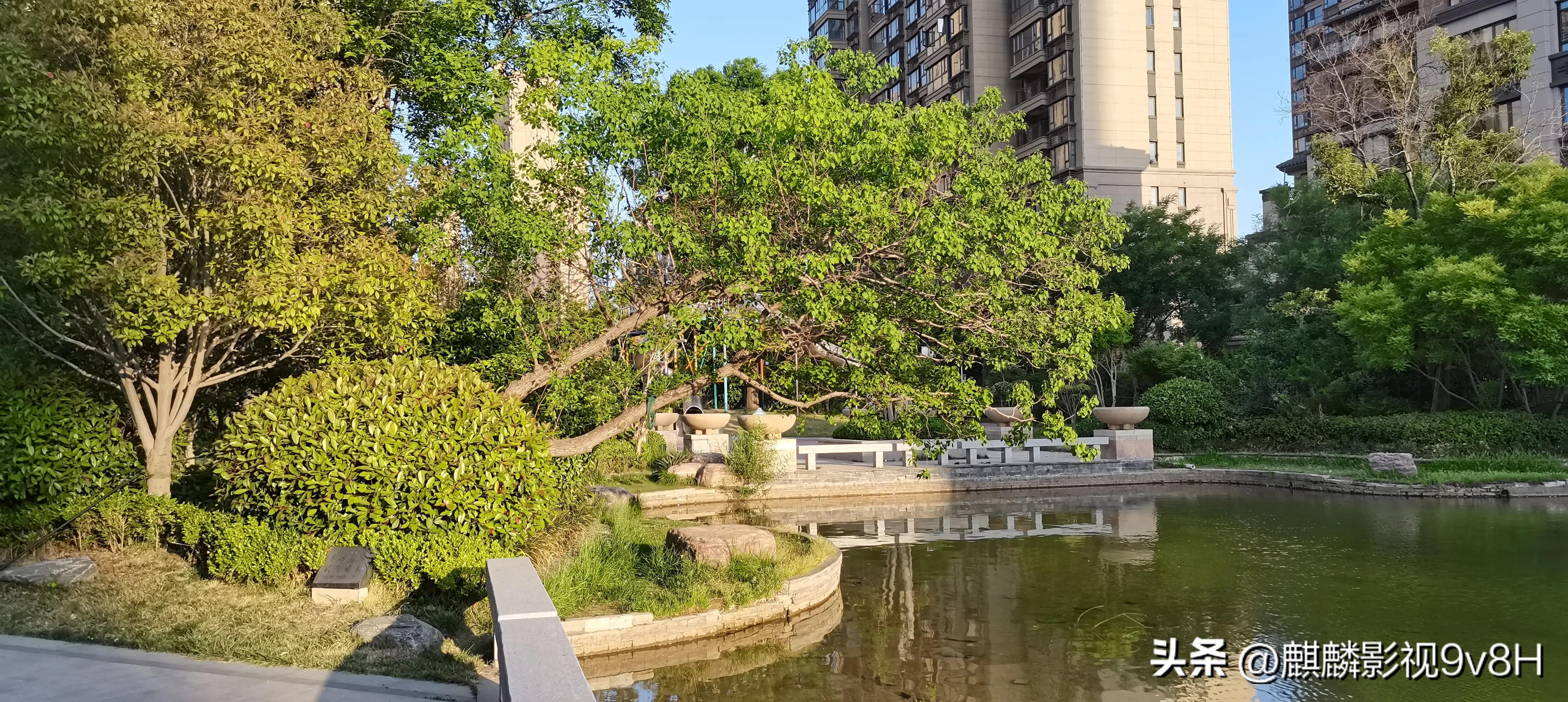 兴趣是最好的老师英文,兴趣是最好的老师原句