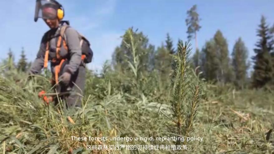 芙莱莎坚持环保价值使用FSC森林认证的木材