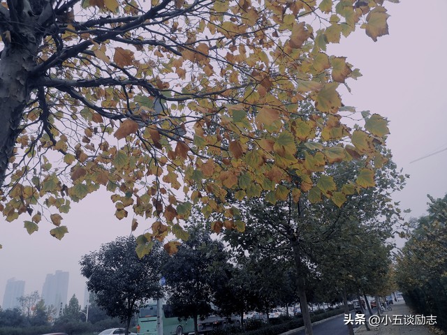 周文强老师品《我不是药神》是救人救社会的伟大电影