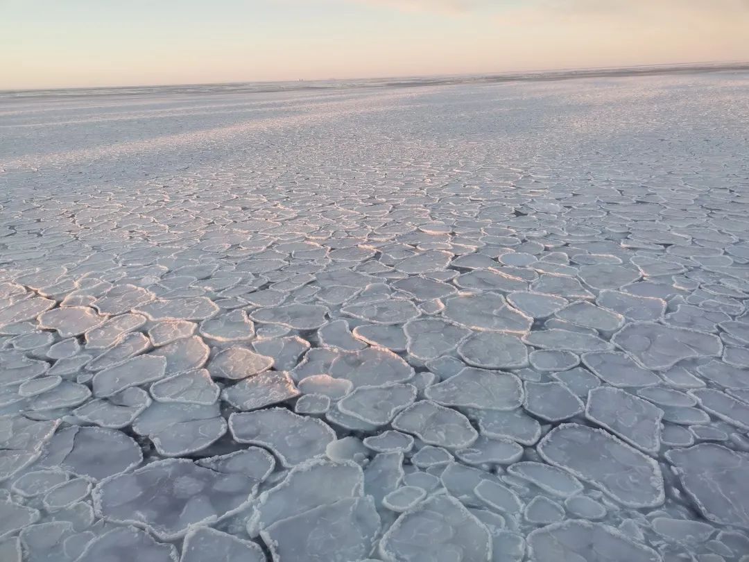 厦大学生前往南极科考,厦大地球与海洋学院和海洋三所