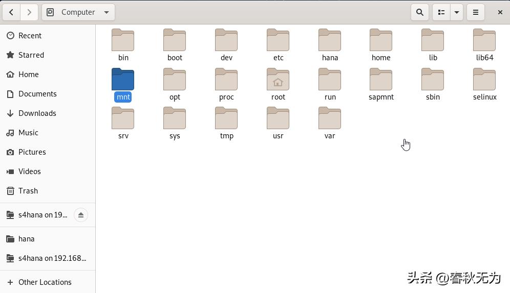 SAPS4导入模板需要什么格式,saps4使用