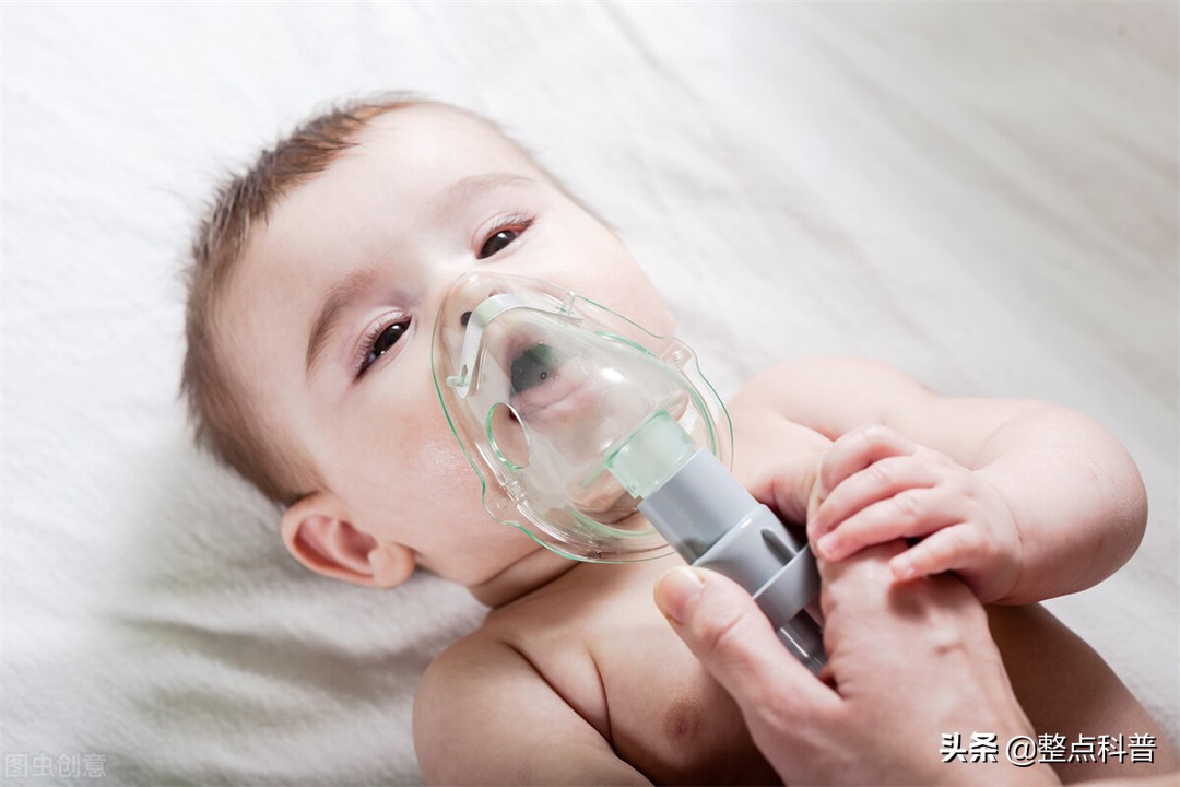 斗和簸箕的基因秘密,中科院发现斗与簸箕的奥秘