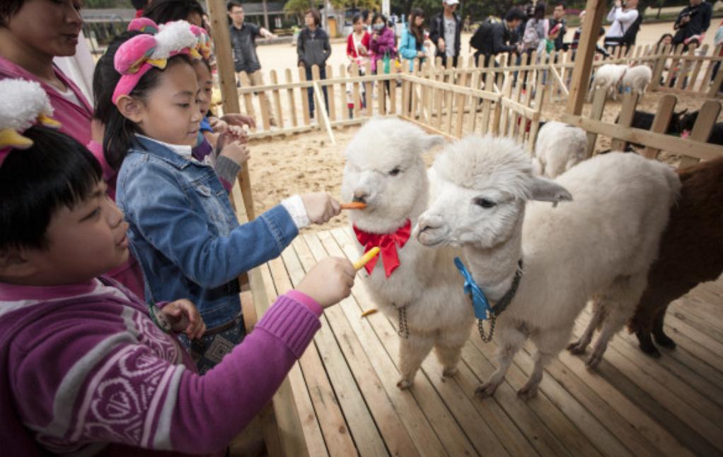 江西老汉活捉神兽四不像,江西老汉活捉神兽六不像