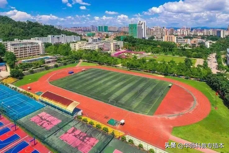 318分可以读什么学校,318分能上哪个学校广西