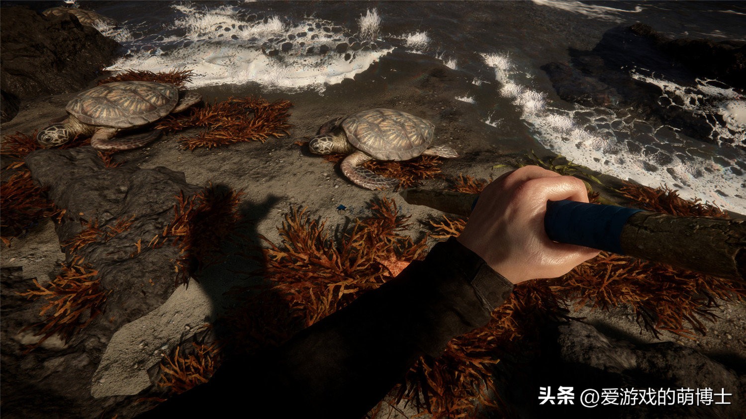 哪款游戏斩获2020年steam最佳游戏,steam22年最值得期待的游戏