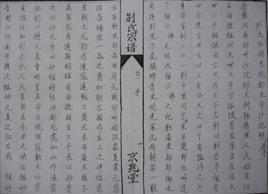 沔阳龙氏宗谱,沔阳张氏宗谱