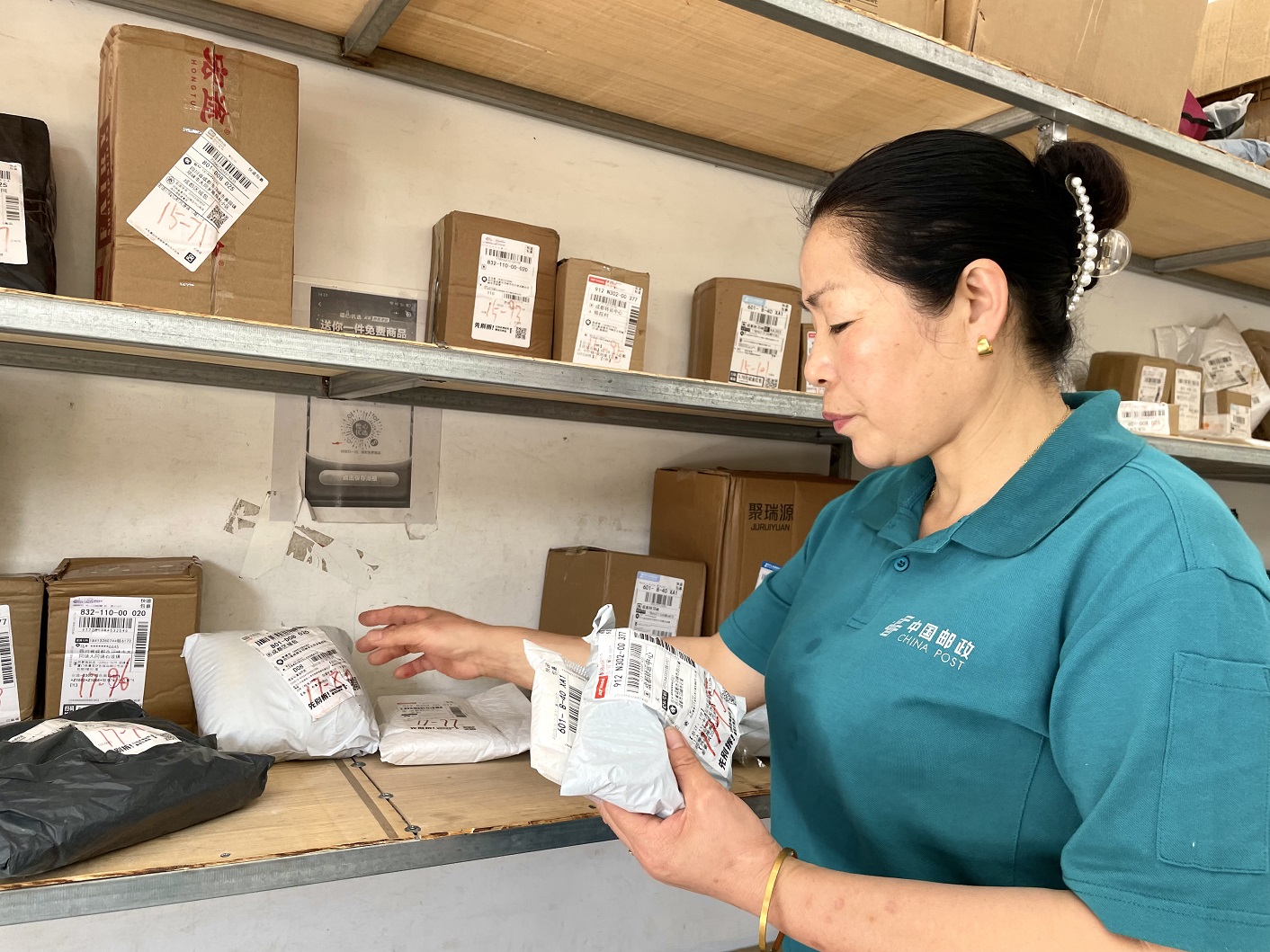 枇杷柑和耙耙柑,耙耙柑和枇杷柑