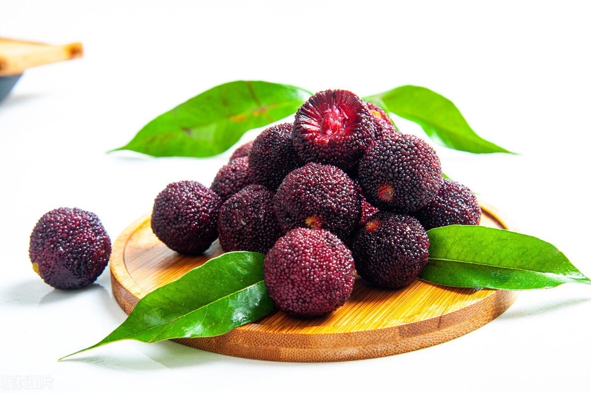 自驾游“重走长征路”线路图、红色旅游景点、当地美食介绍（四）