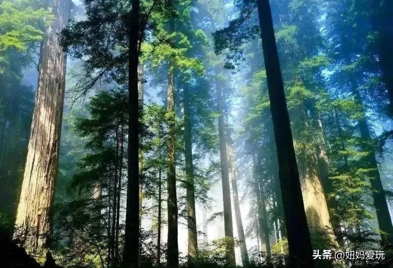 初冬的济南南部山区游玩攻略,济南南部山区旅游攻略