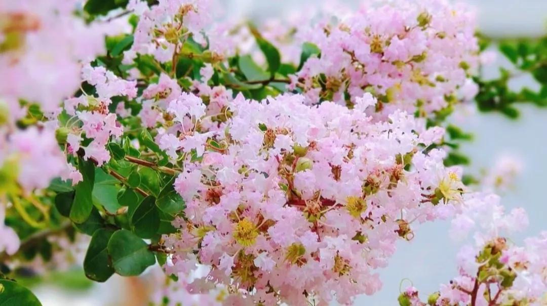 人生语录经典短句,人生语录视频