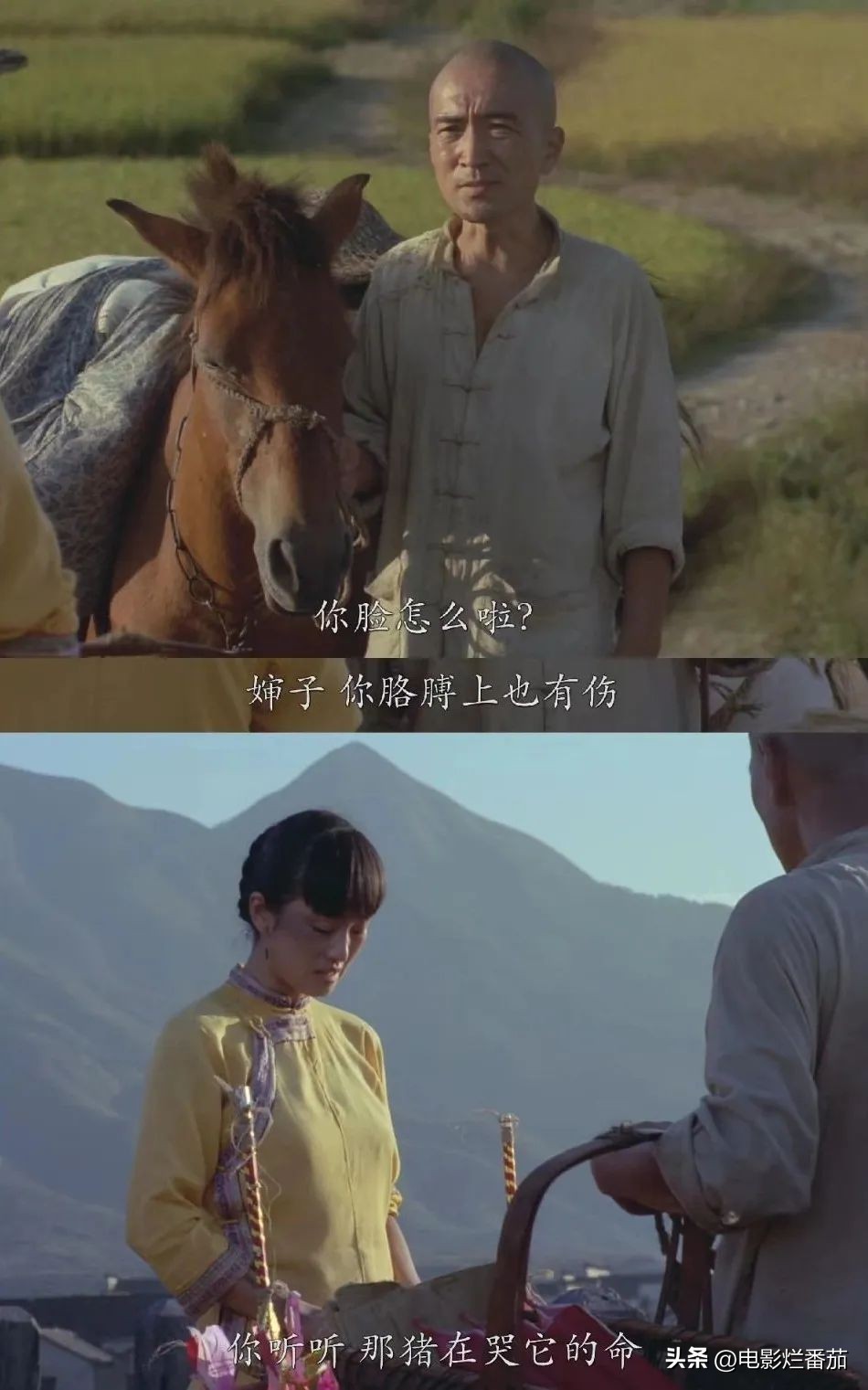 小时候没看懂现在的情况,小时候没看懂的一集视频