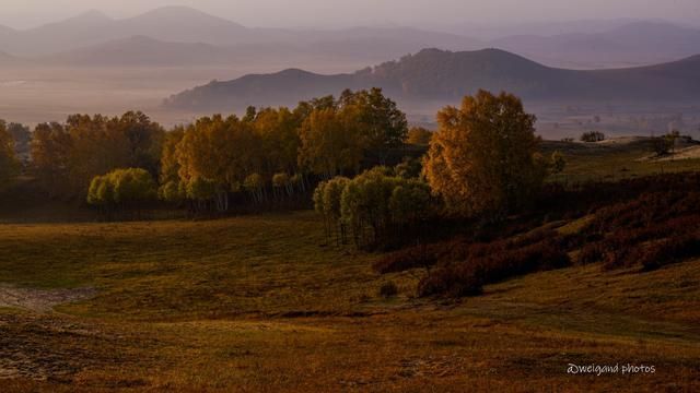 柳永最经典的一首词,柳永最经典十首词排行