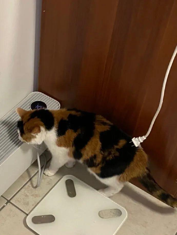 每日一笑段子,每日一笑第一期段子