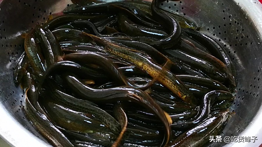 泥鳅怎么吃补钙效果好,八月的泥鳅的营养