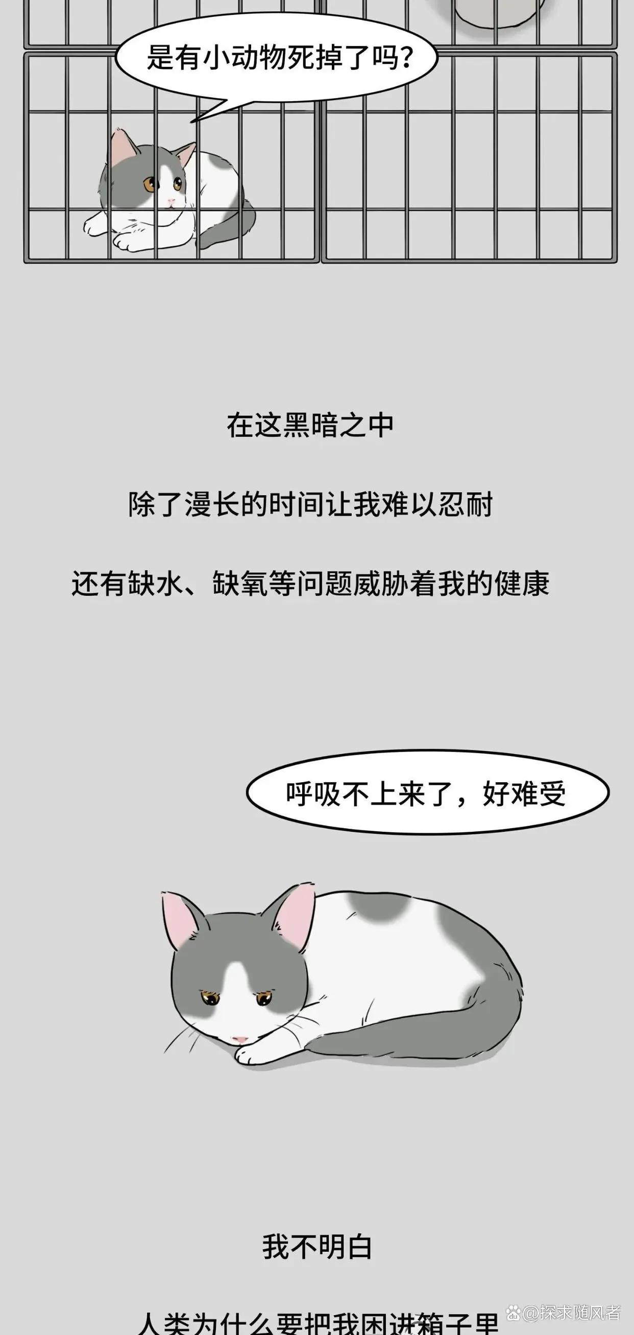 救救我我不想死日语,救救我漫画免费观看