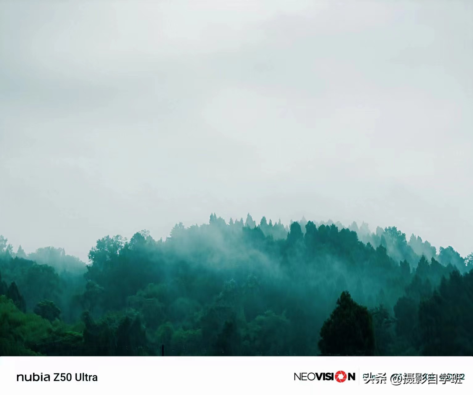 第二十一届摄影作品征稿,摄友投稿图片