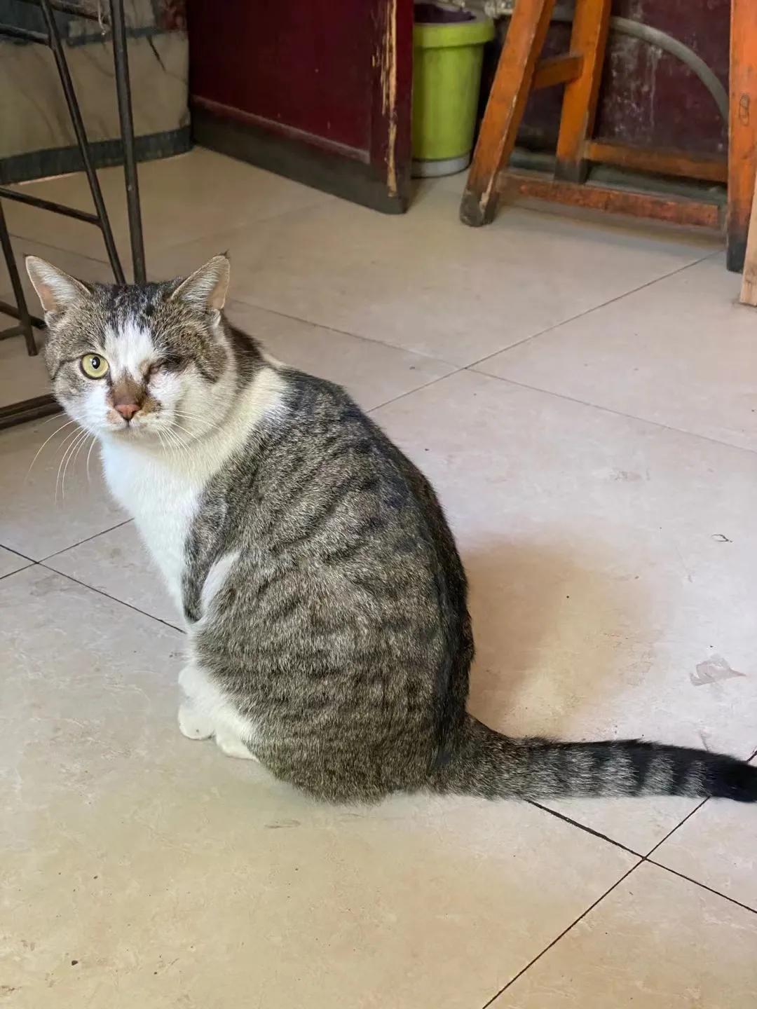 律师多久可以年入30万,大部分律师年收入二十万以内