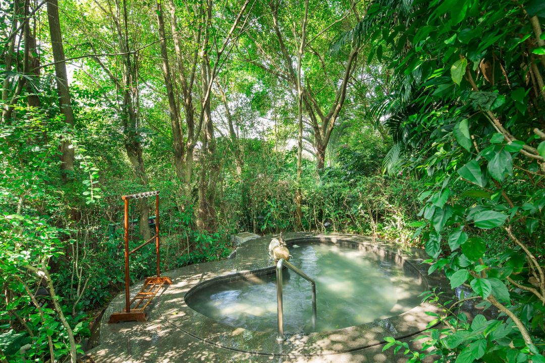 广东最值得推荐的温泉度假村,广东第一峰温泉是真温泉