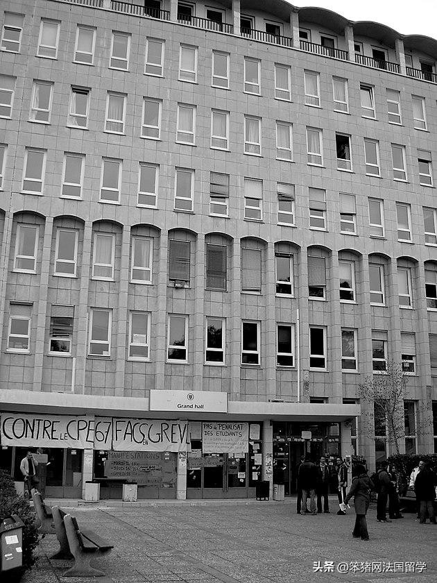 笨猪法语中文,笨猪法语