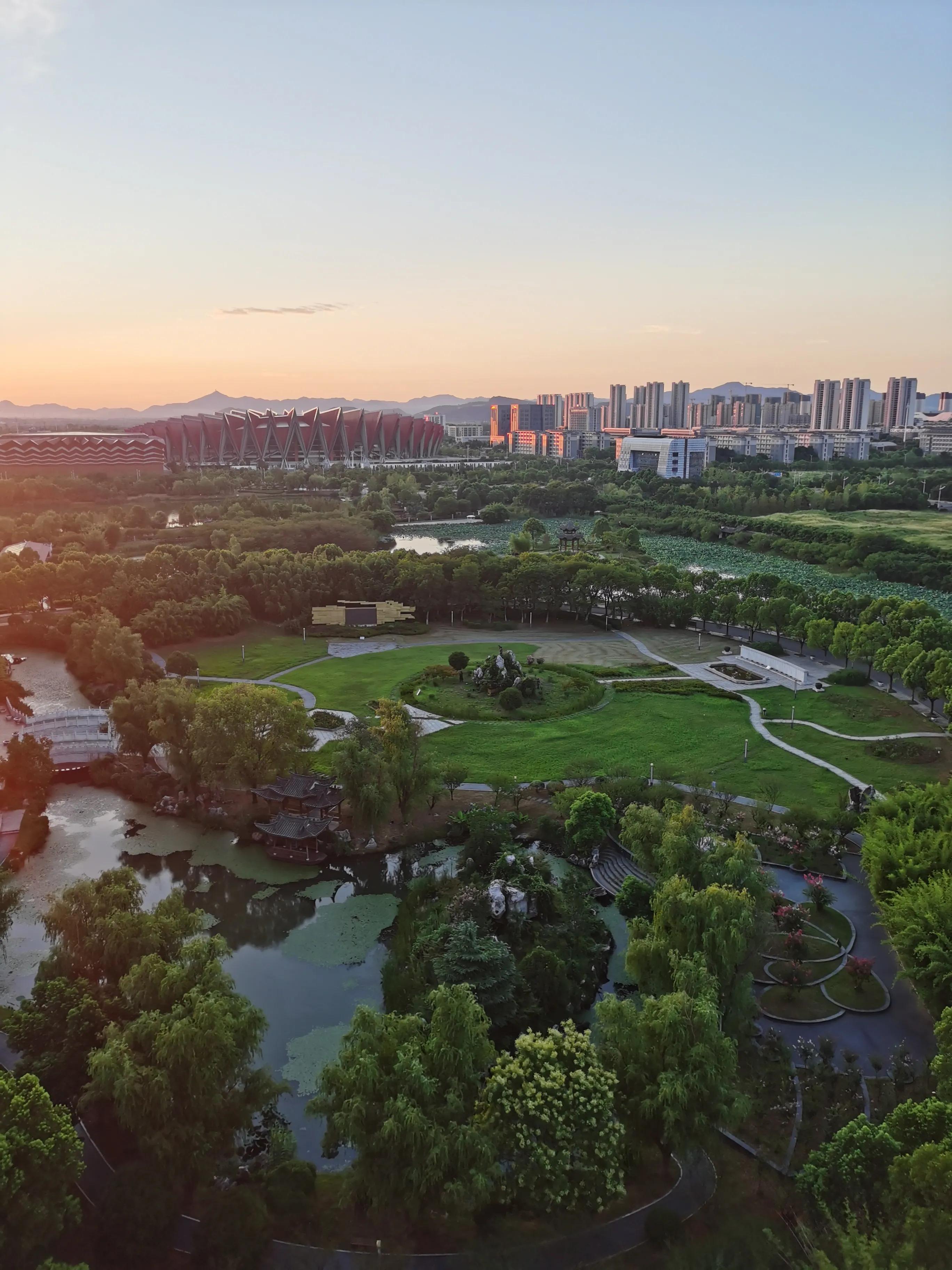 又见荷花香,池塘荷花仍飘香