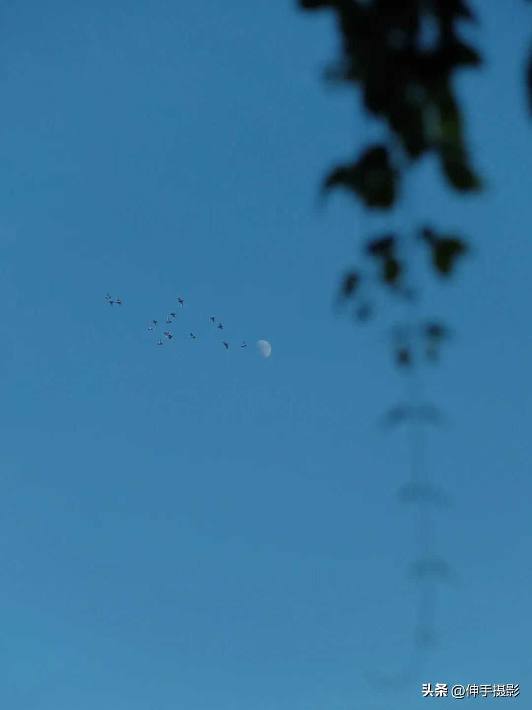 富士1400万像素,富士最好三颗定焦镜头