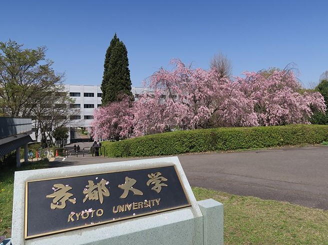 日本旧帝国大学在国内认可度,帝国大学日本