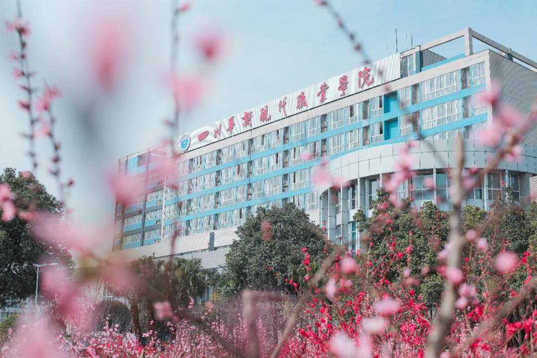 校企合作共建实训基地,校企专业共建