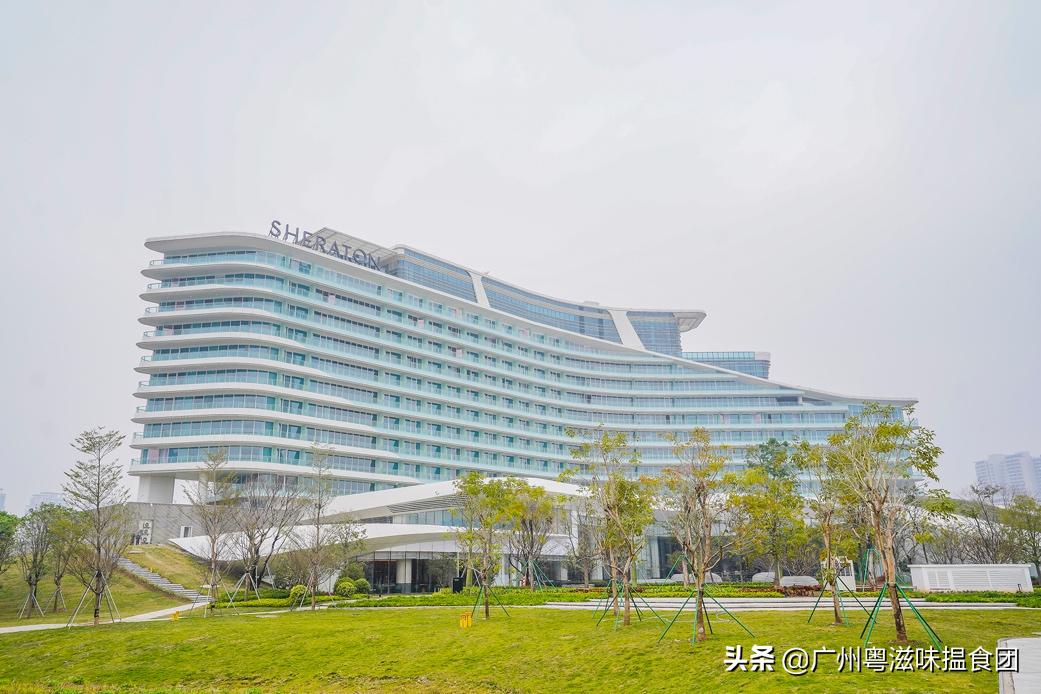 来绿林润肺放肆“森”呼吸，体验全新肇庆喜来登酒