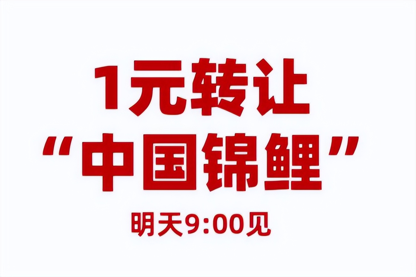 被支付宝一亿砸中的信小呆：辞职后环游世界，刷爆信用卡生活堪忧