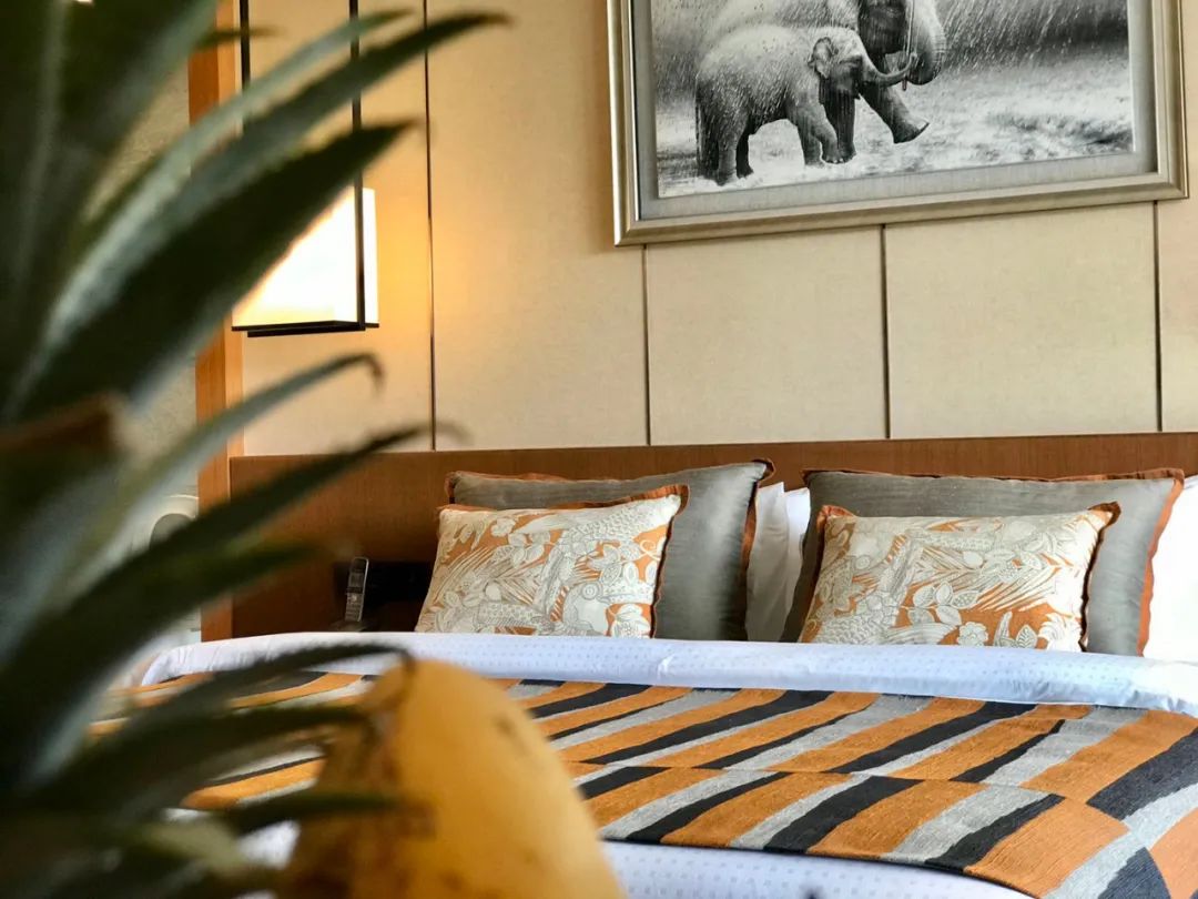 泰国普吉岛拉亚度假酒店,普吉岛海景公寓包租