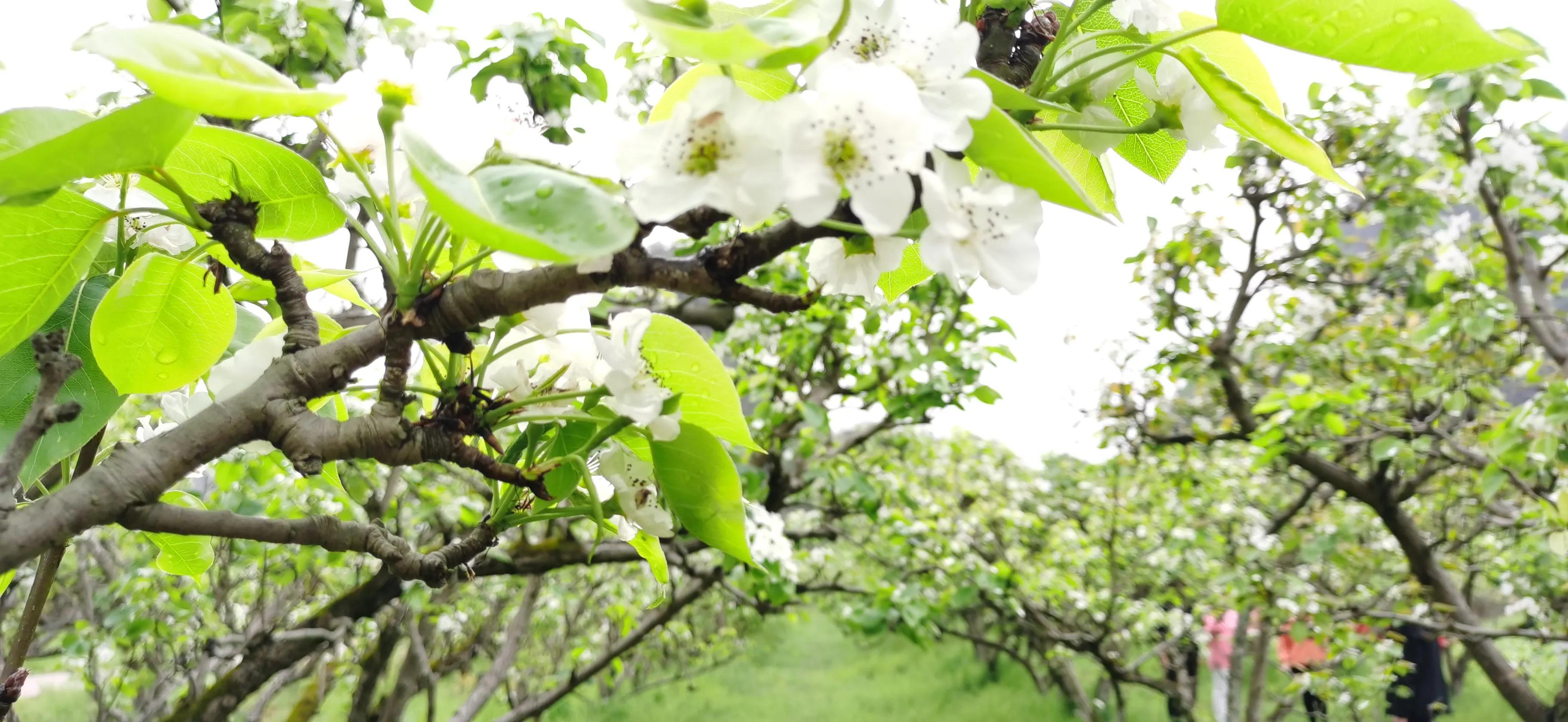 一台二手3D印刷机打下一亿产业，打破了寒门难出贵子的调侃。