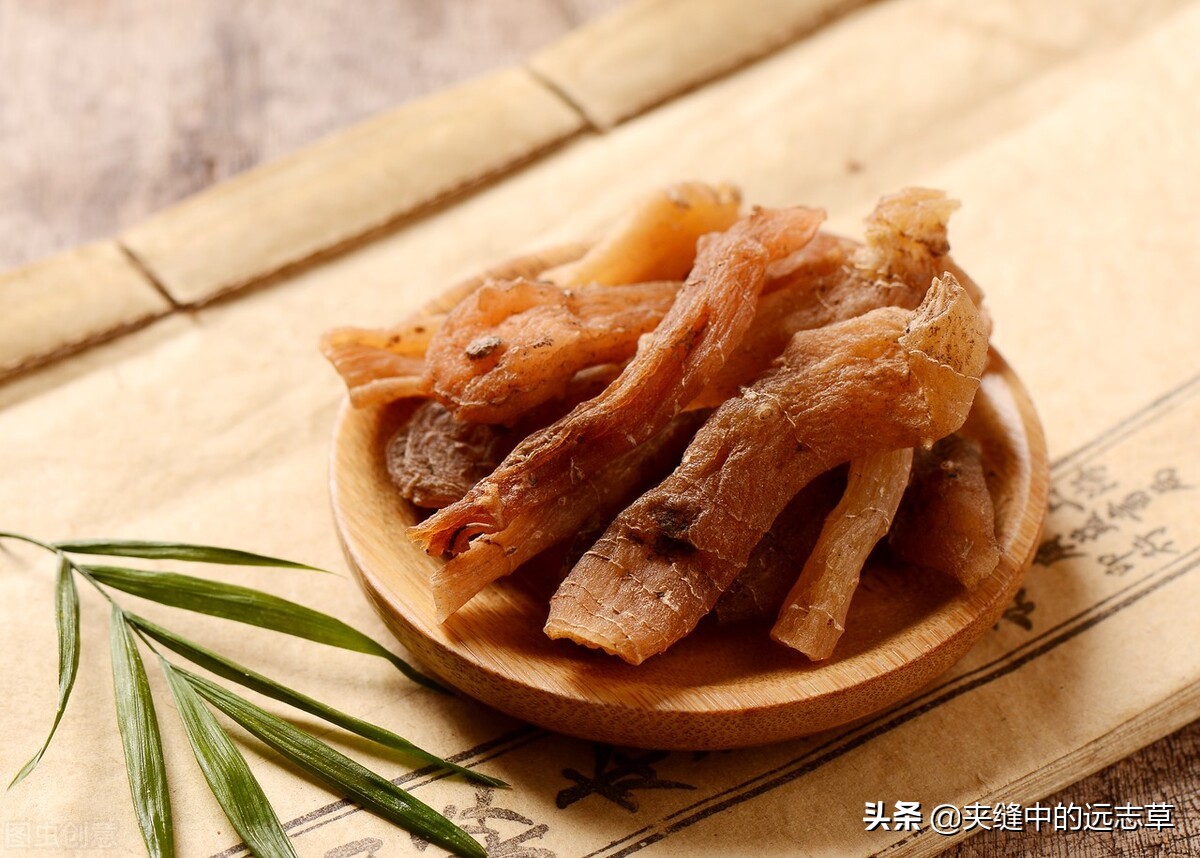 阴虚耳鸣吃啥中草药,阴阳双补治耳鸣的最佳中药