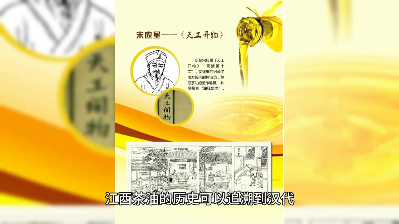 茶油发源地,江西哪里有真正的茶油