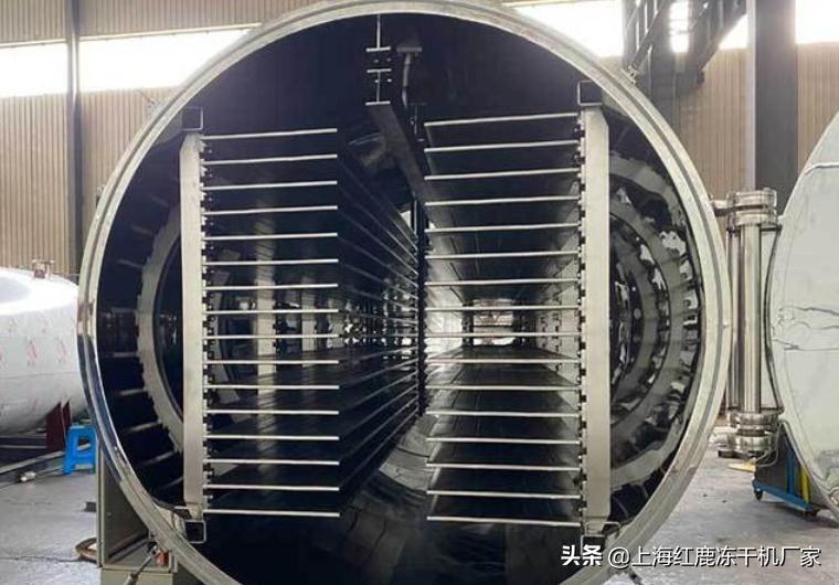 食品冷冻干燥机参数,福建冻干机真空冷冻干燥机