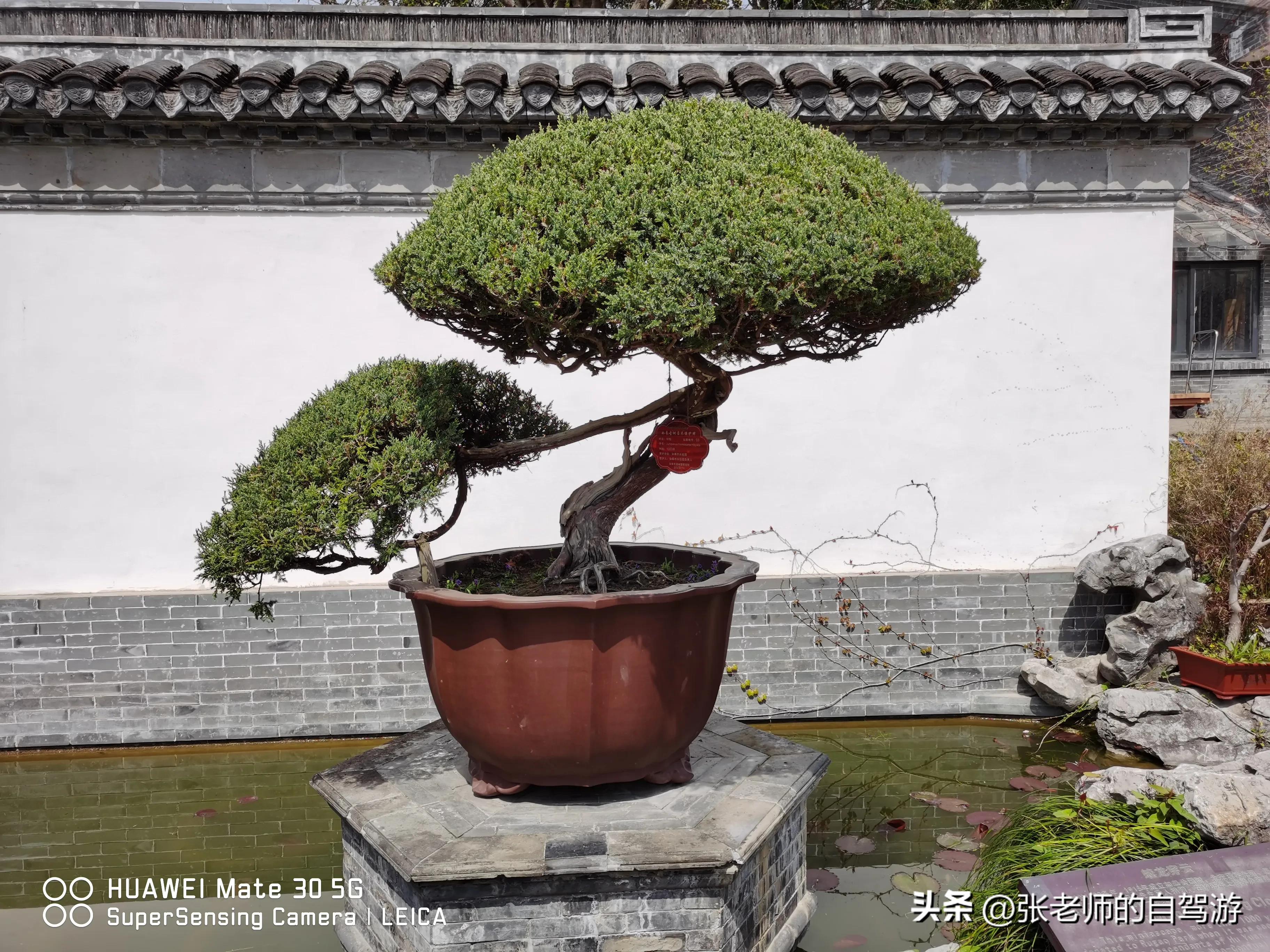 自驾环游中国最佳路线图费用,盐城到海南自驾旅行攻略