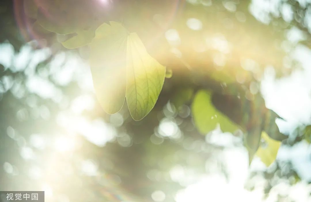 中国最美十大文学典故,40个不可不知的中国古代文学典故