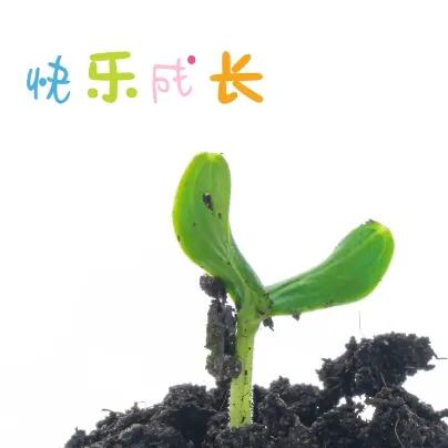 春播行动中药贴敷,春种一粒粟秋收万颗子原文