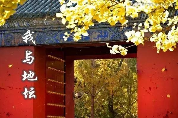 我与地坛心灵感悟,我与地坛引起情感共鸣