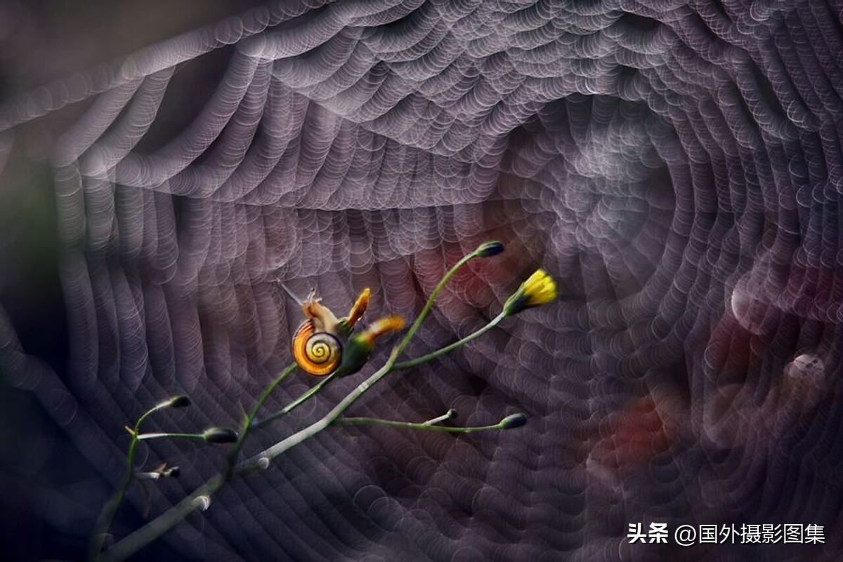 最美的景色秋天照片高清,夏天和秋天的绝美照片