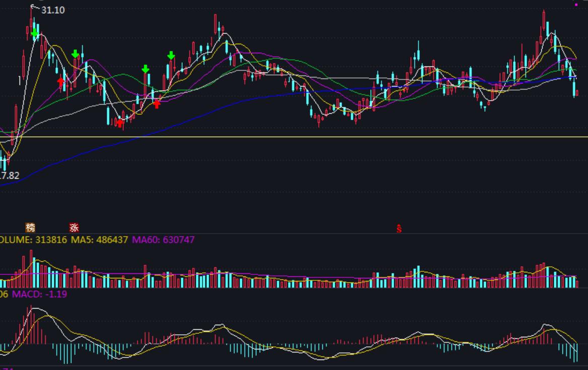 随心动含义,随心意交易软件怎么样