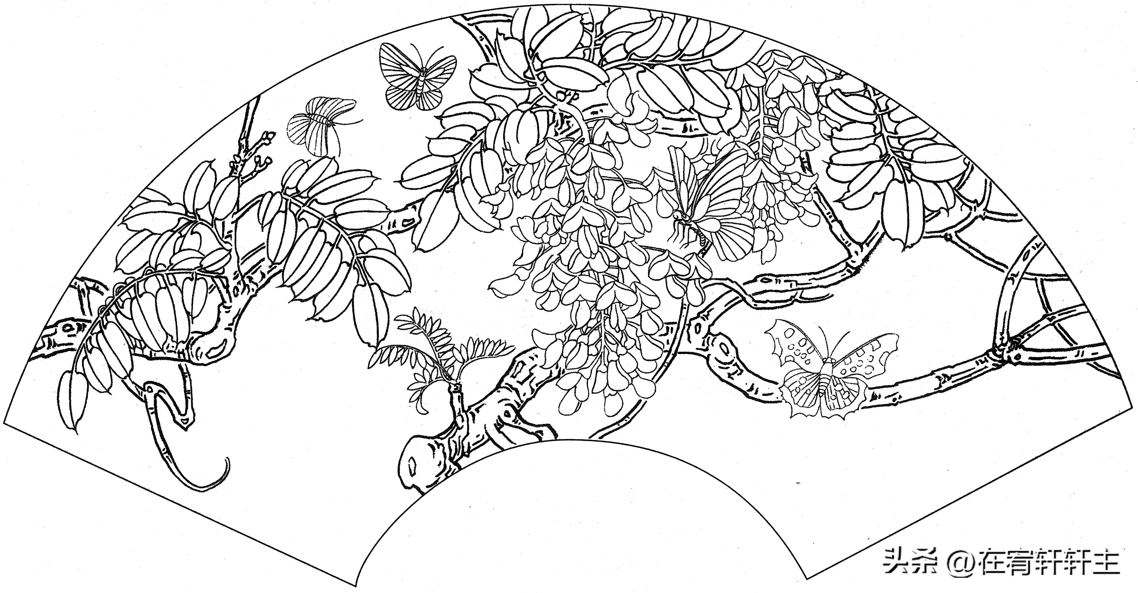 工笔白描祥云图案扇面,工笔扇面葡萄白描图片