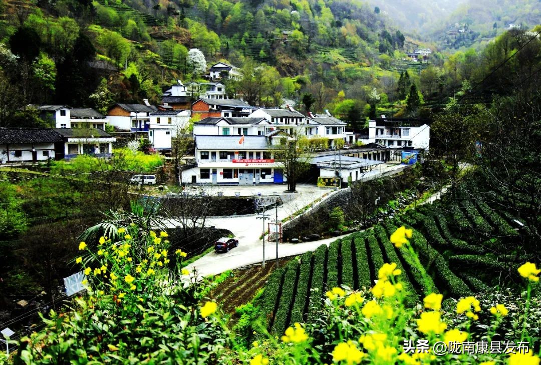 “天然氧吧•诗意阳坝”文学采风活动暨陇南市诗歌学会第二届年会交流发言摘要