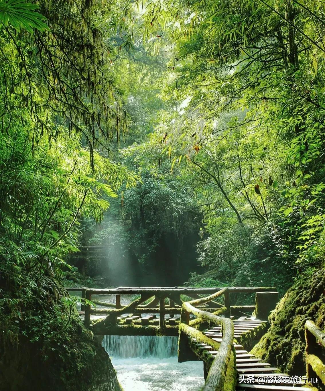 成都旅游攻略成都必去的五个地方,成都攻略十个必须要去的地方