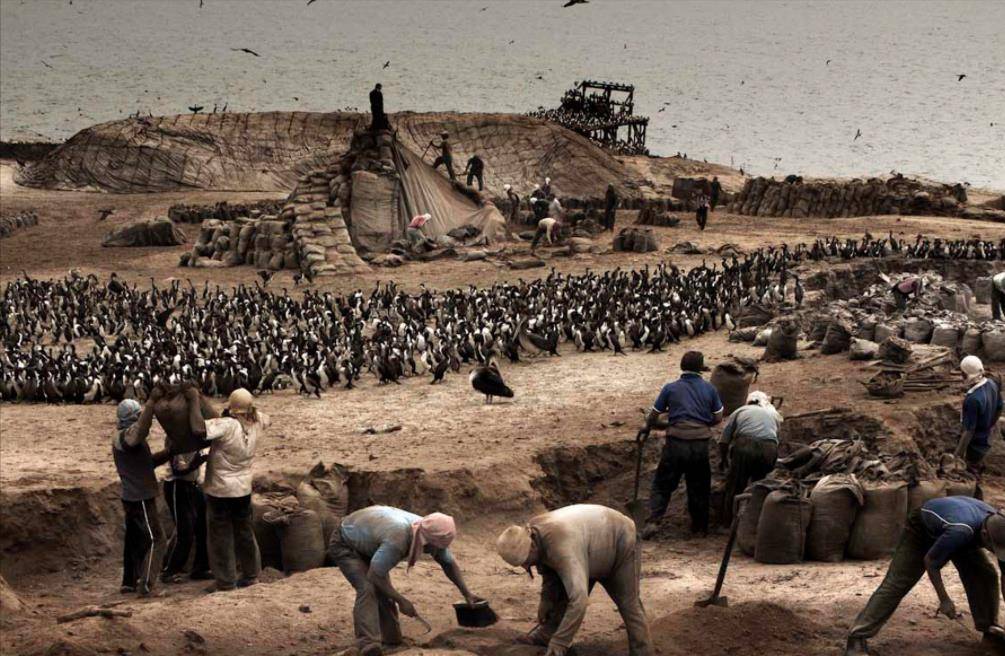 秘鲁中国华人,澳大利亚和秘鲁的华人