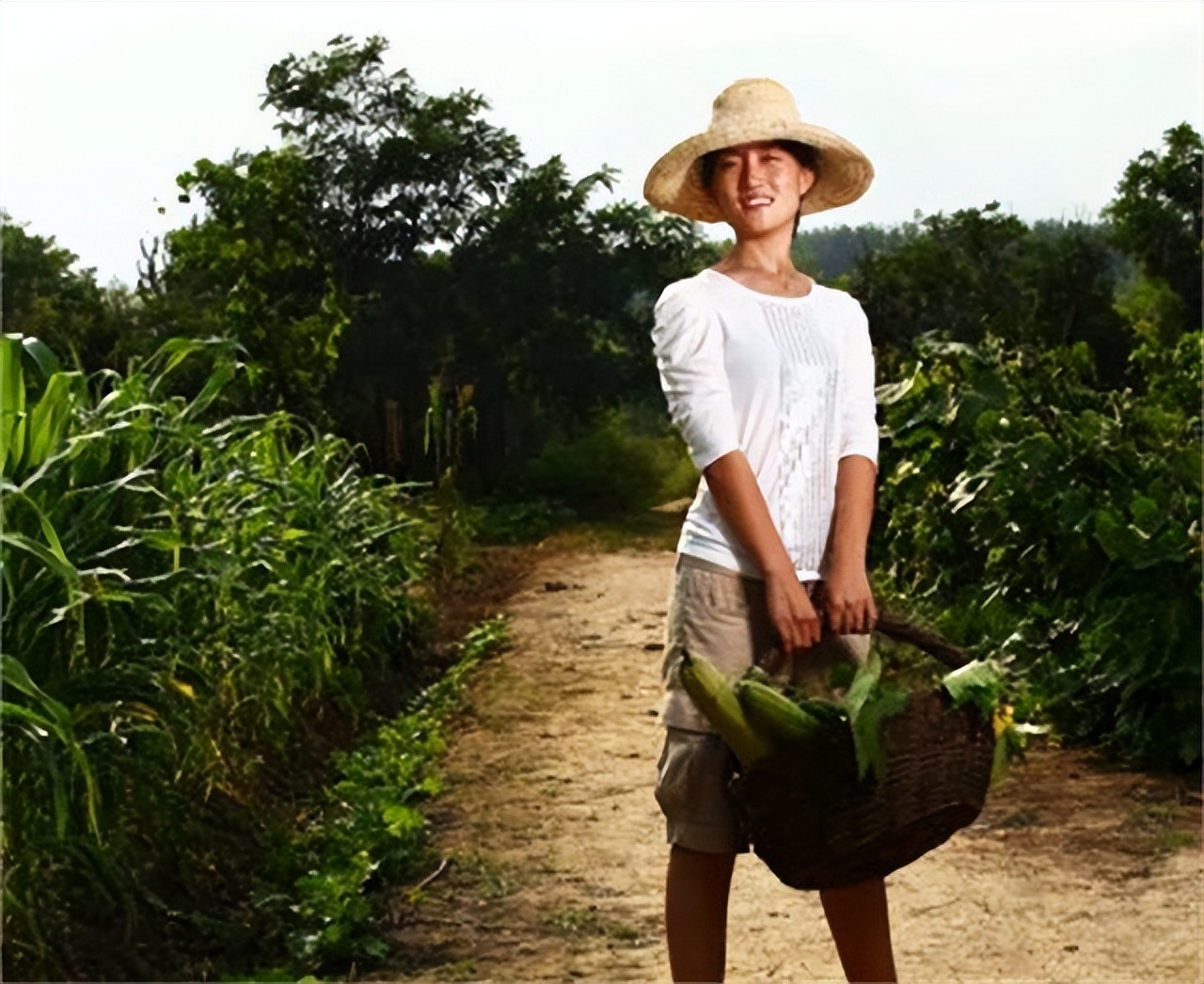 农村女博士靠种地年收入800万,清华女博士种地十一年收入八百万